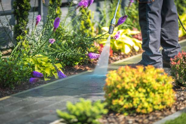 Best Parking Lot and Garage Cleaning  in Oxford, AL